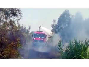 Antalya’da makilik alanda yangın