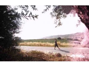 Jandarmadan Fotokapanlı Önlem