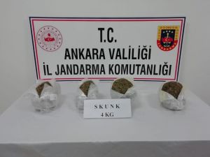 Ankara’da Jandarma 44 Kilo Skunk Maddesi Ele Geçirdi