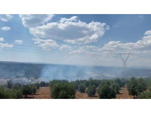 Denizli’de Ormanlık Alanda Ki Yangında 50 Hektar Zarar Gördü