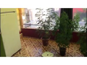 Adana’da Uyuşturucu Operasyonu