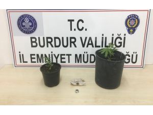 Burdur’da Uyuşturucu Operasyonu