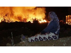 Budanmış kuru ağaç dallarının bulunduğu alanda çıkan yangın endişeye neden oldu