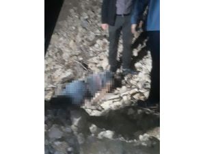 61 Yaşındaki Adam Define Aramaya Çıktı, Patlattığı Dinamit Sonu Oldu