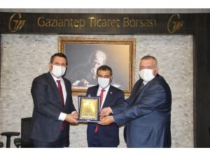 Antep Fıstığında Tahmini Türkiye Rekoltesi 388 Bin Ton