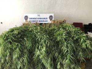 Samandağ’da Uyuşturucu Operasyonu