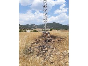 Yanarak elektrik direğinden yere düşen kargalar, tarlayı tutuşturdu