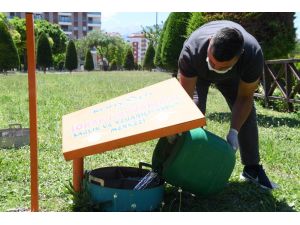 Konyaaltı Belediyesinden, sokak hayvanları için su ve mama çağrısı