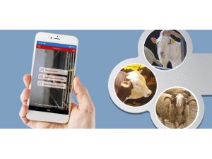 Hayvancılık üreticilerine online uygulama
