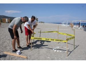 Pandemi döneminde boşalan sahiller Caretta Caretta’lara kaldı