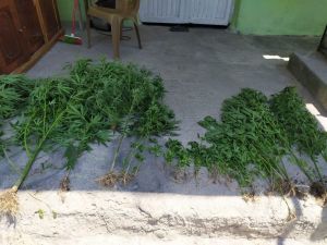 Dörtyol’da Uyuşturucu Operasyonu