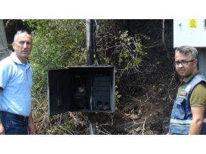 Manavgat’ta patlayan elektrik panosu orman yangınına sebep oldu