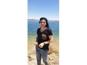 Pkk Bombalı Eylem Planı Yaparken, Ünlü Sanatçıların Adını Şifrelemiş