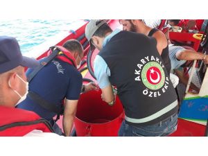 Bodrum’da 121 Tonluk Akaryakıt Kaçakçılığı Ortaya Çıkarıldı
