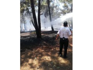 Örtü Yangını Ağaçlara Sıçramadan Söndürüldü