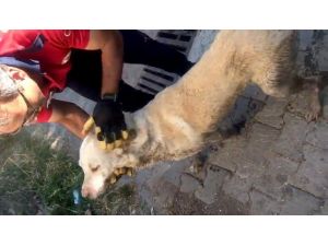 İtfaiyeden Nefes Kesen Kurtarma