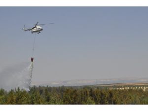 Nizip’teki Orman Yangını Söndürüldü