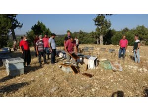 Mersin’de Arı Kovanlarına Sinek İlaçlı Saldırı