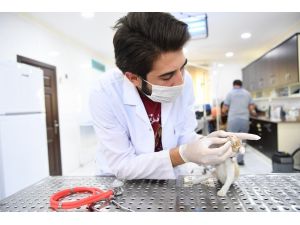 Motor kaputuna sıkışan yavru kedi uzun çabalar sonrası kurtarıldı