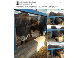 Konya’ya Şehit Ateşi Düştü
