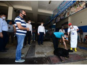 Kurban kesim yerleri personel eğtimleri tamamlandı