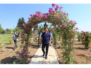 Dokuma Botanik Park’ta çalışmalar devam ediyor