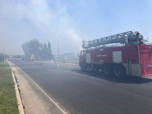 Alanya’da deniz kenarındaki sazlık alan yangını güçlükle kontrol altına alındı