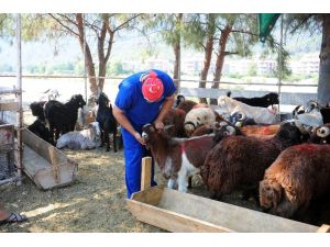 Kemer’de bayram denetimleri sürüyor