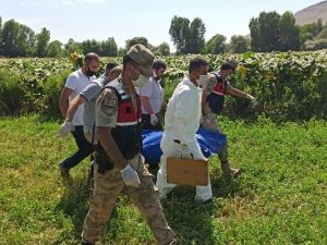 Ayçiçeği Tarlasında Cansız Bedeni Bulunan Engelli Tabanca İle Vurulmuş