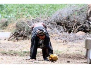 Hatay’da ’Dört Ayaklı İnşalar’ Olarak Bilinen Kişi Trafik Kazasında Öldü