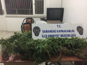Samandağ’da Uyuşturucu Operasyonu
