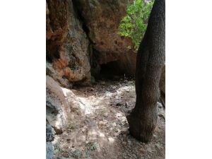 Tunceli’de “Yıldırım-4 Munzur-kutu Operasyonu" Başlatıldı