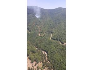 Hatay’da Orman Yangını