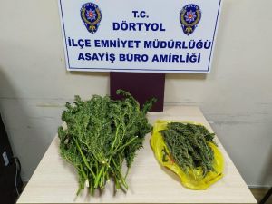 Hatay’da Uyuşturucu Operasyonu