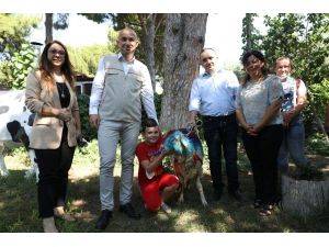 Hiç kurban kesemeyen vatandaş CİMER’den kurbanlık talep etti, Bakan Pakdemirli kurbanlık gönderdi