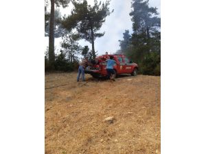 Adana’da Orman Yangını