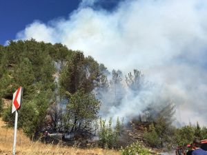Kahramanmaraş’ta Orman Yangını 7 Hektar Alan Zarar Gördü