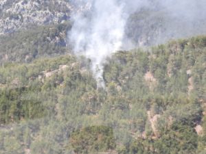 Antalya’da korkutan orman yangını