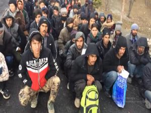 Sivas’ta 137 Kaçak Göçmen Yakalandı