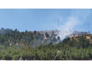Gaziantep’te Orman Yangını