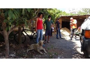 Sokak köpeğine uygunsuz hareketlerde bulunan yaşlı adam gözaltına alındı