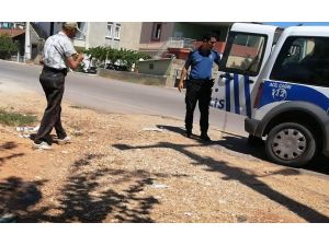 Köpeğe uygunsuz harekette bulunan yaşlı adam serbest bırakıldı