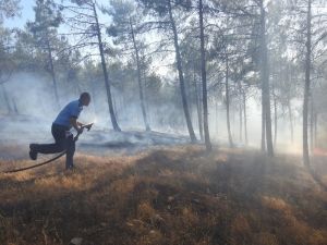 Piknik Ateşi 1 Hektarlık Alanı Kül Etti