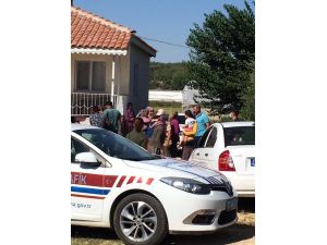 Cinnet getiren amca av tüfeğiyle dehşet saçtı: 2 ölü, 3 yaralı
