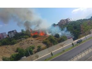 Alanya’da çıkan yangın yerleşim yerlerin sıçramadan söndürüldü