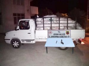 Tarladan Mısır Çalan Hırsızlar Yakalandı