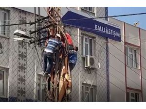 Elektrik Direğinde Ölüm Kalım Savaşı