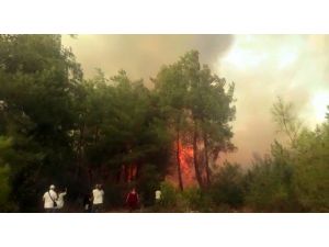 Antalya’daki orman yangını devam ediyor