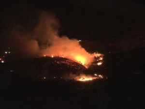 Kahramanmaraş’ta Bahçe Ve Örtü Yangını