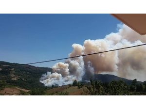 Kozanın Ciğerleri Alev Alev